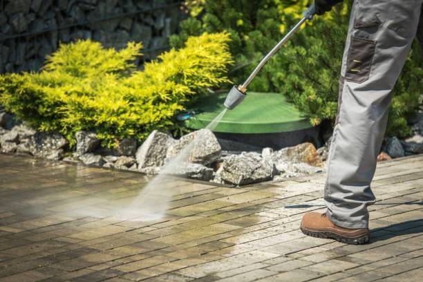 Best Spring Cleaning  in Lake Clarke Shores, FL